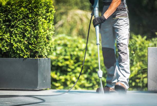 Best Driveway Pressure Washing  in Rainsville, AL